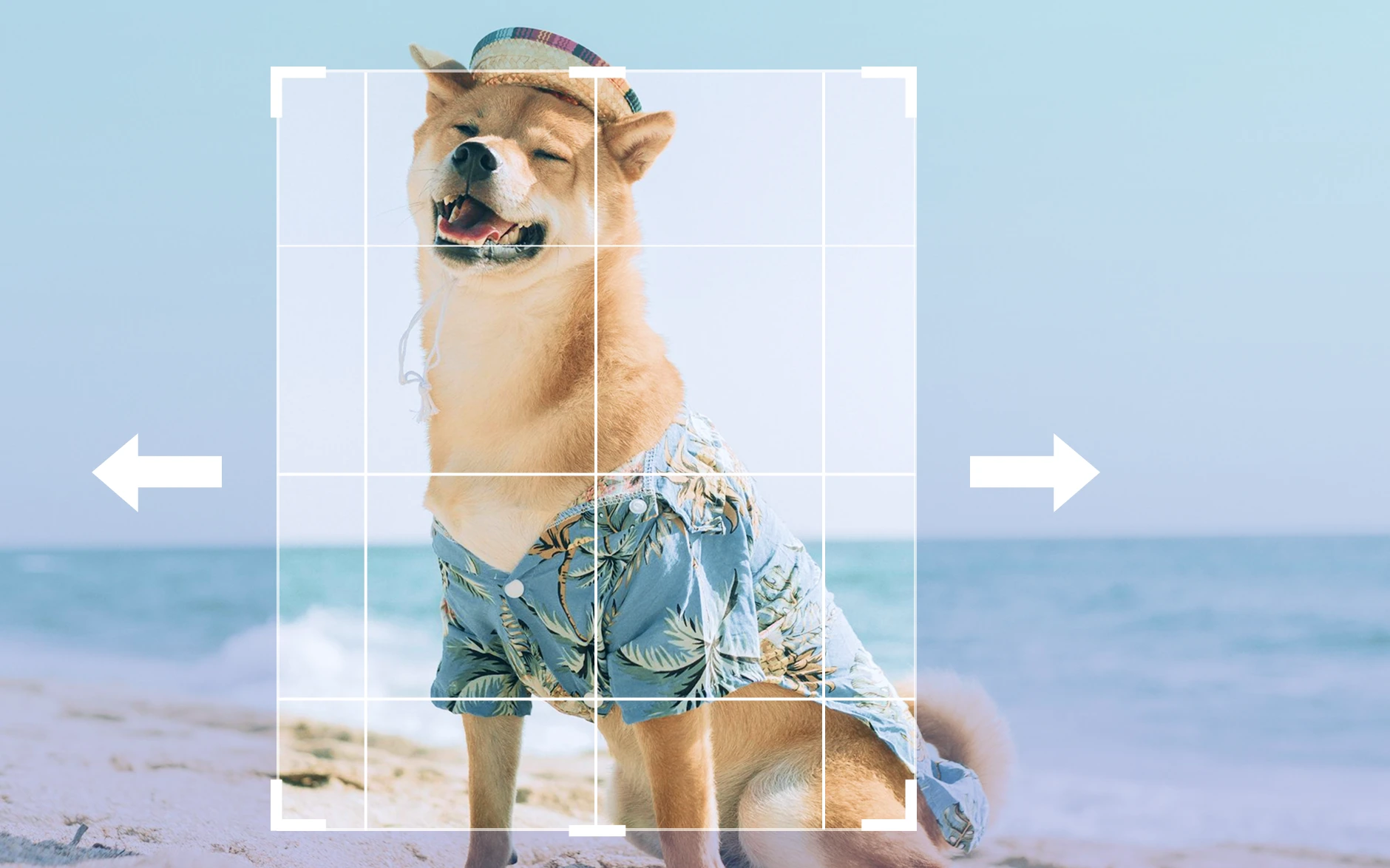 un Shiba Inu portant une chemise à fleurs et un chapeau est assis sur la plage