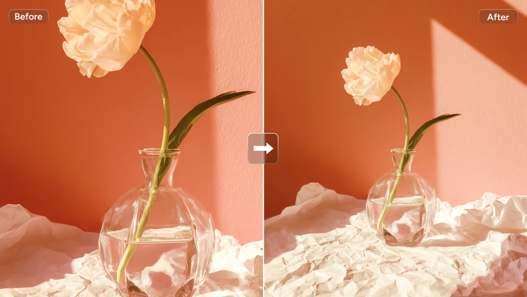 Effet avant/après de l'agrandissement d'une image de fleur rose clair dans AI Ease ai image extender