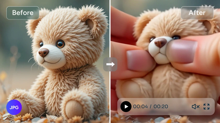 Effet avant et après l'écrasement d'un ours en peluche