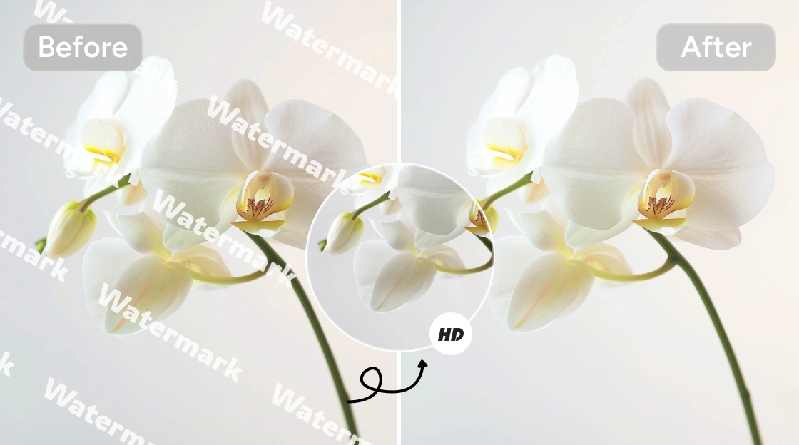 Effet avant et après la suppression des filigranes de la photo de jacinthe avec une haute qualité