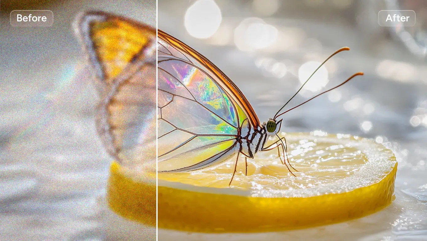 den Schmetterling auf einem Zitronenscheibenbild verbessern, indem Sie Unschärfe und Korntextur in AI Ease entfernen