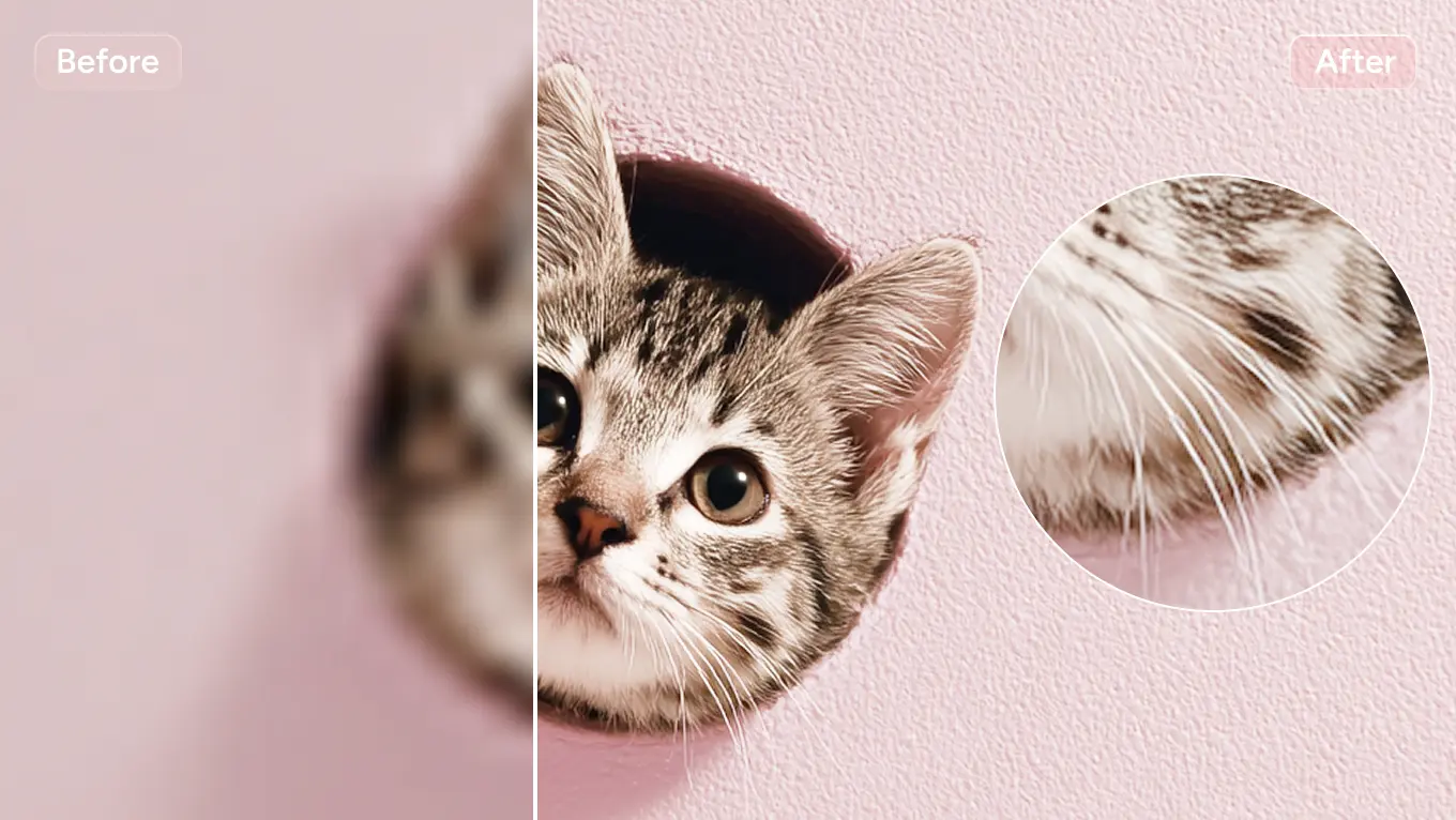 die Bildqualität von Katzen verbessern, ohne die Felldetails zu beeinträchtigen, mit dem Online-Fotoverstärker von AI Ease