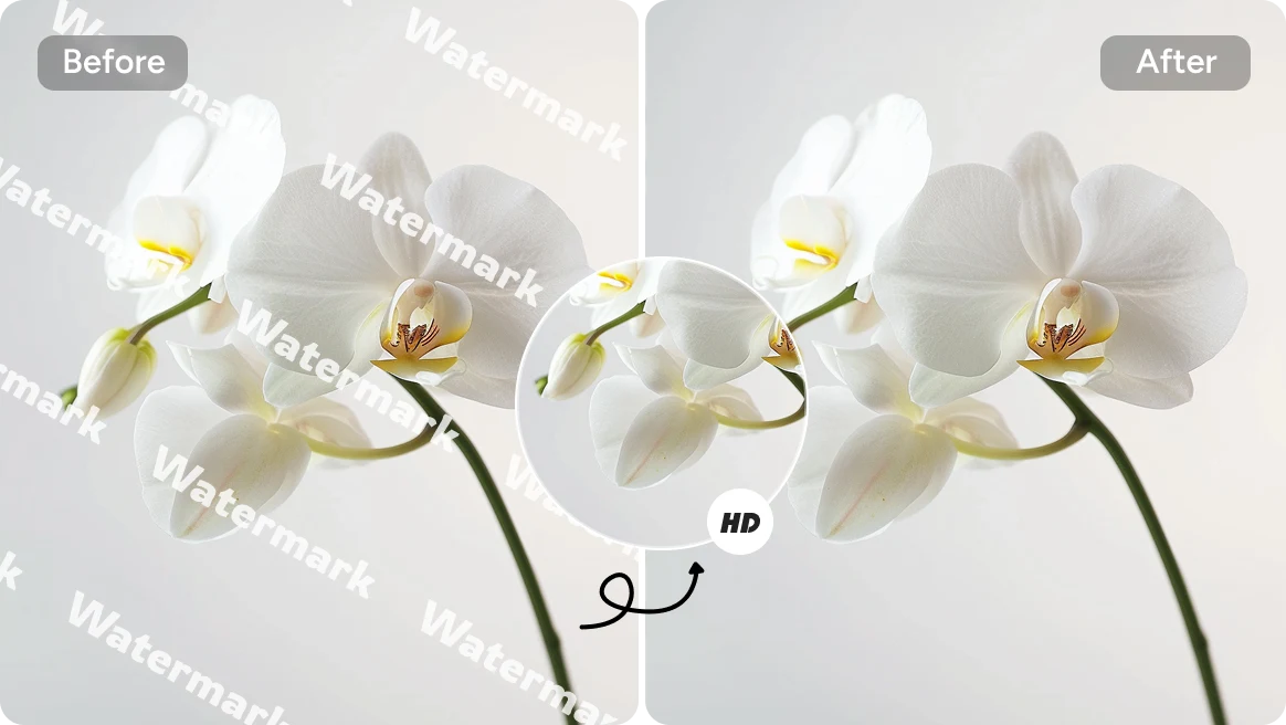 AI Ease中白花圖像去除浮水印的前後效果